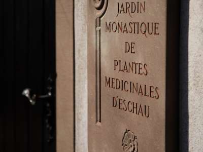 ©